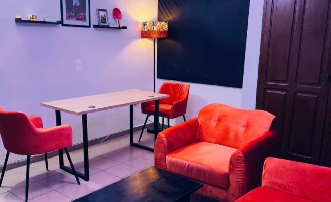 Bonne nouvelle : Freekawa Studio ouvre ses portes !