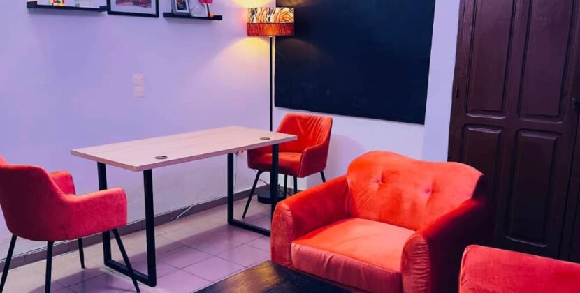 Bonne nouvelle : Freekawa Studio ouvre ses portes !